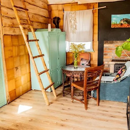 Apartman Stokrotka