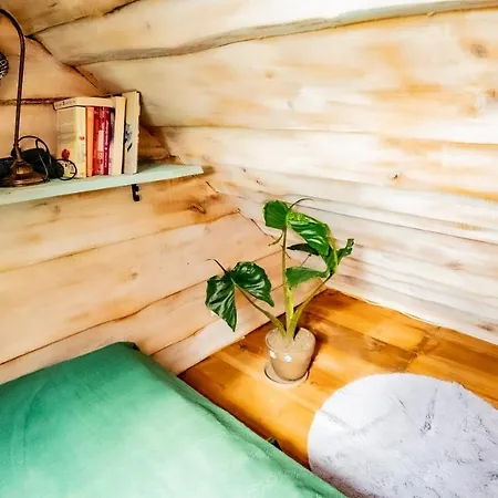Stokrotka Apartman